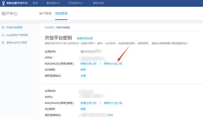 eyoucms仿站之支付宝公匙 私匙 APPID 配置方法(图7)